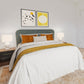 Essential Furniture Package
